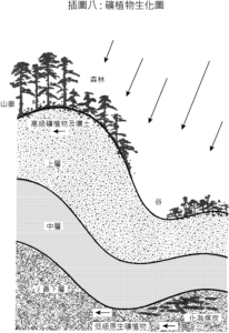 教義新境界- 插圖八: 礦植物生化圖